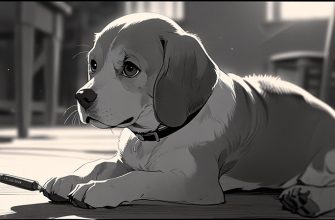 beagle puppy