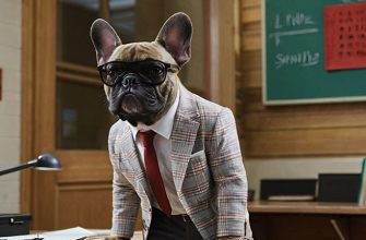 Feminist Dog Names logo