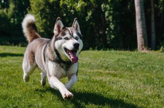 Green Dog Names logo