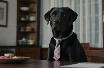 Male Labrador Retriever Names