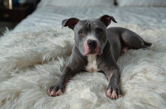 blue dog names - main logo