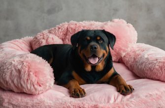Female Rottweiler Names
