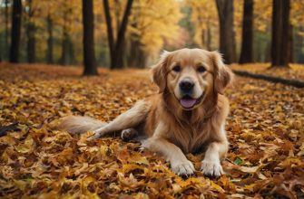 golden dog names logo