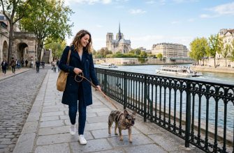 A female French bulldog walks along the Seine embankment in Paris.