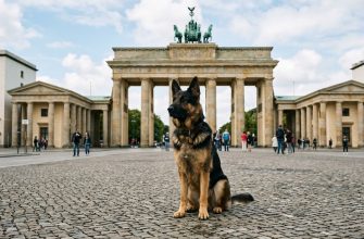 german names for-german shepherd logo