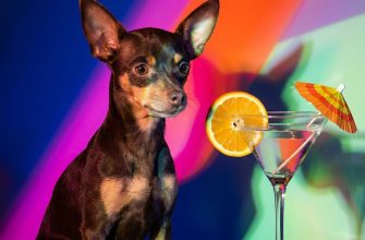 classic cocktail name for dog - logo