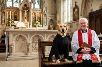 christian dog